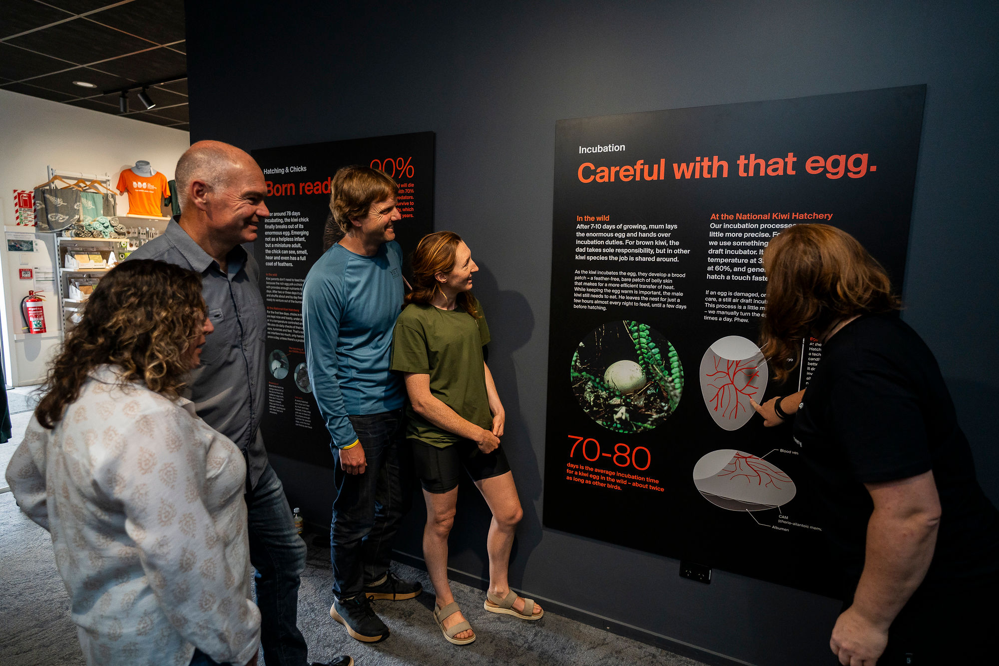 National Kiwi Experience Guided Tour