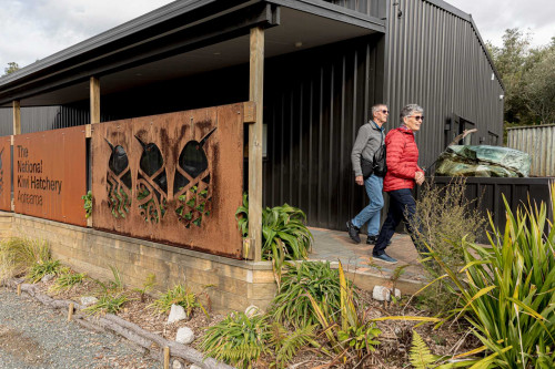 Why the National Kiwi Hatchery in Rotorua Belongs on Your Itinerary