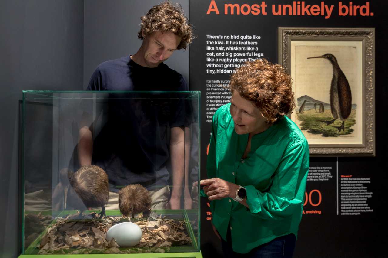 2024 Kiwi Hatchery 9339 web edit