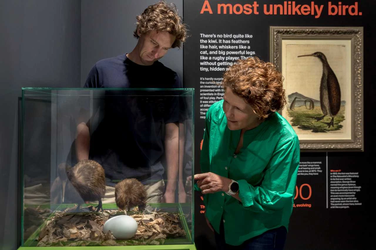 2024 Kiwi Hatchery 9339 web edit